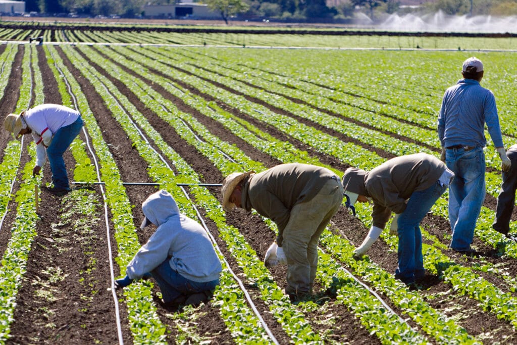 How California’s Farmers and Ranchers Could Lead the Way to Climate Resilience