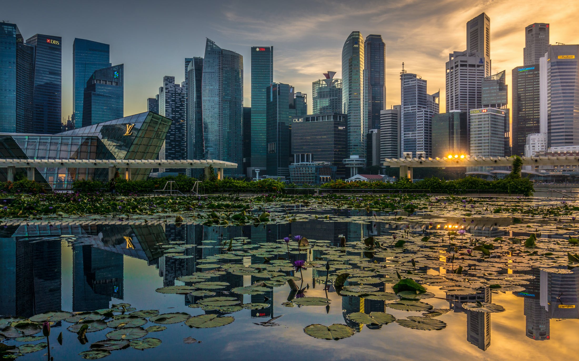 Sustainability reporting needs interoperable framework, “pragmatic and proportionate balance” in disclosure rules: Google