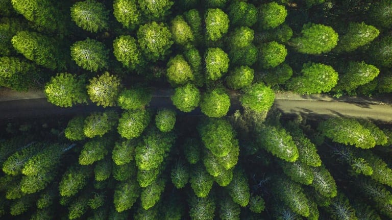Five must-read sustainable finance and ESG articles for Jan. 11