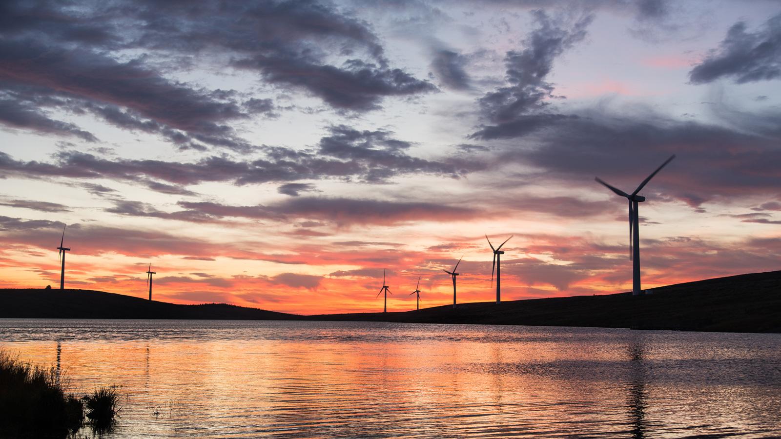 Navigating the path to sustainable pharma: Insights from sustainability leaders