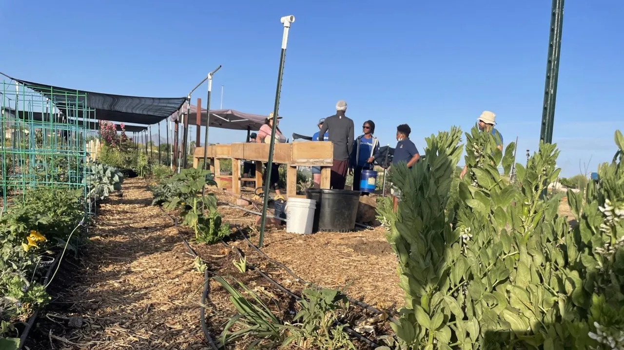 Turning Trash into Treasure: A Mission to Transform Waste into Soil