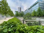 Decarbonization Efforts: How Building Owners And Managers Can Step Up