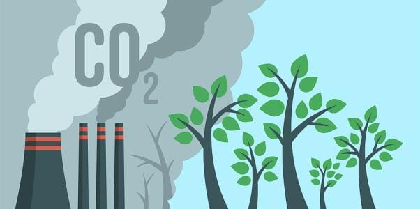 SEC Expected to Drop Scope 3 GHG Emissions Disclosure Requirements From Final Climate Rule