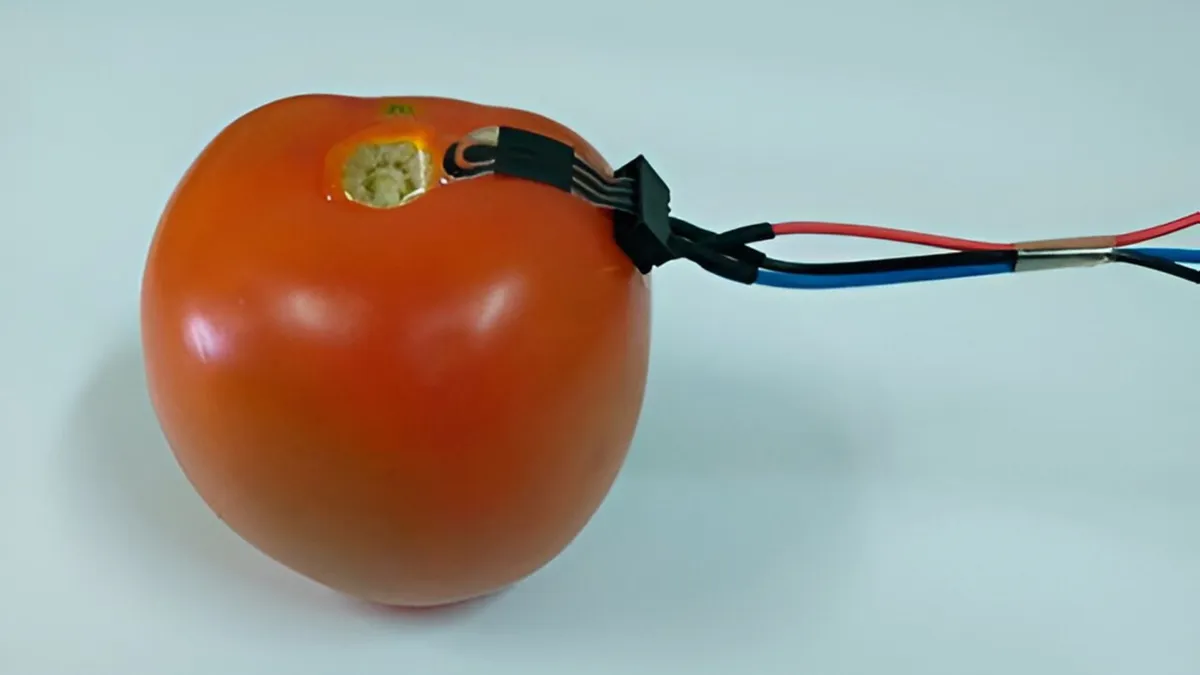 This biodegradable sensor can tell if your food is safe from pesticides