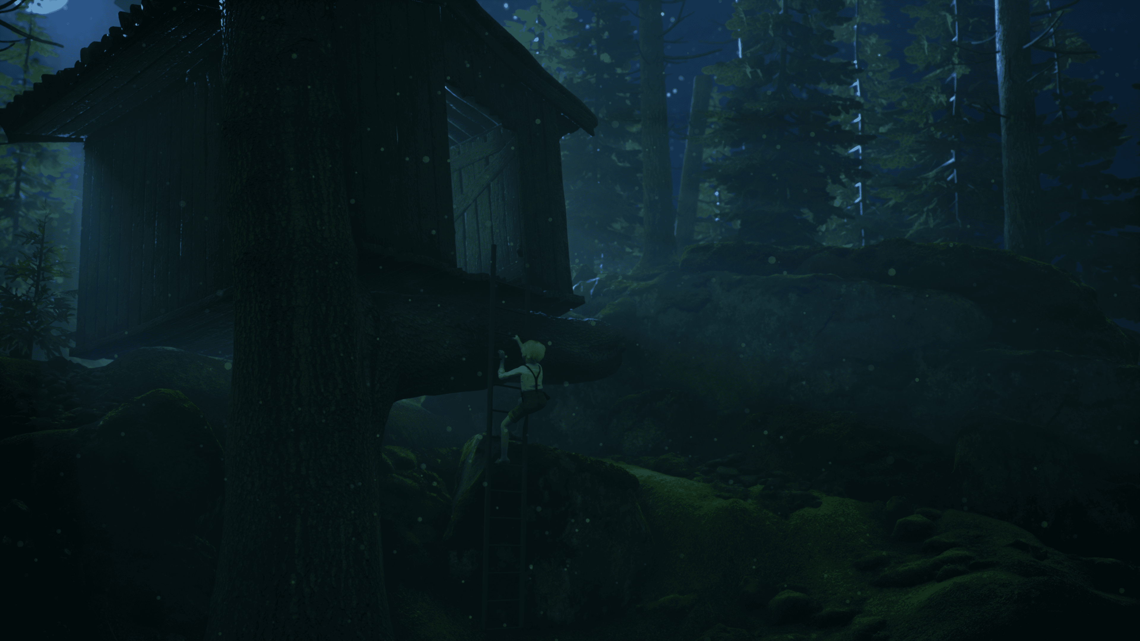 Could our future homes be built of straw?