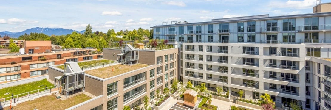 Green Roofs Deliver Critical Protection From ‘Severe Urban Heating’