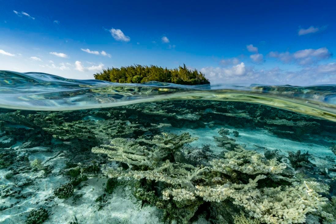 Current Climate: Big Risks As Oceans Overheat