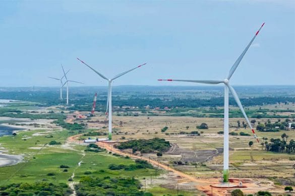 “Six turbines of wind power plants in Mannar removed for bird migration corridor”
