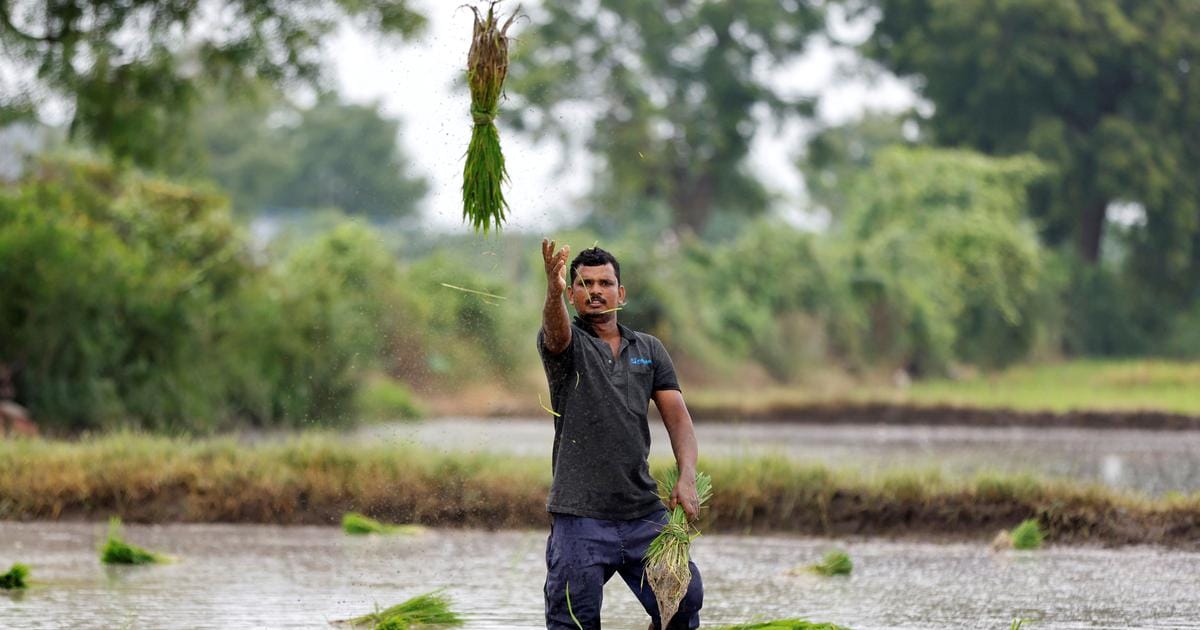 Climate change is driving up food inflation globally – with catastrophic health effects