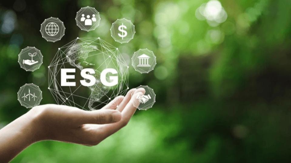 Is ESG The Toxic Wordle In Asset Management?
