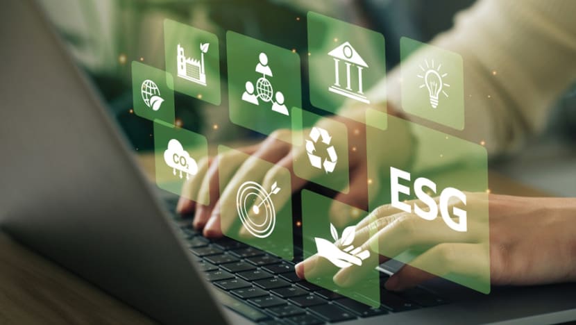 5 compelling reasons to embrace sustainability education