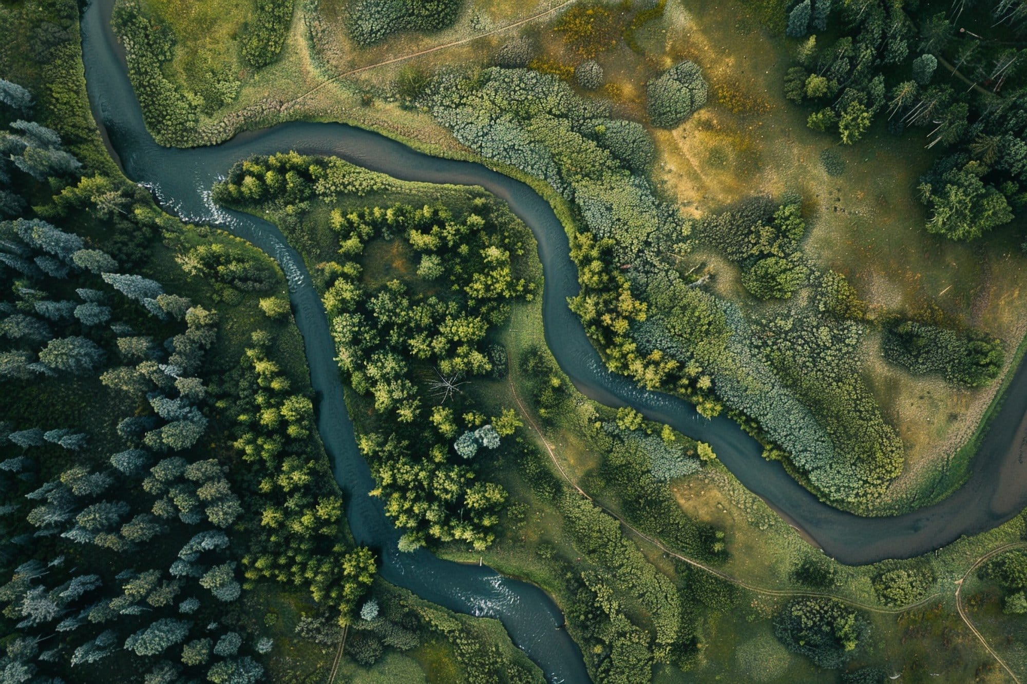 Urgent Climate Red Flag: Global Warming Is Disrupting the Natural Flow of Rivers