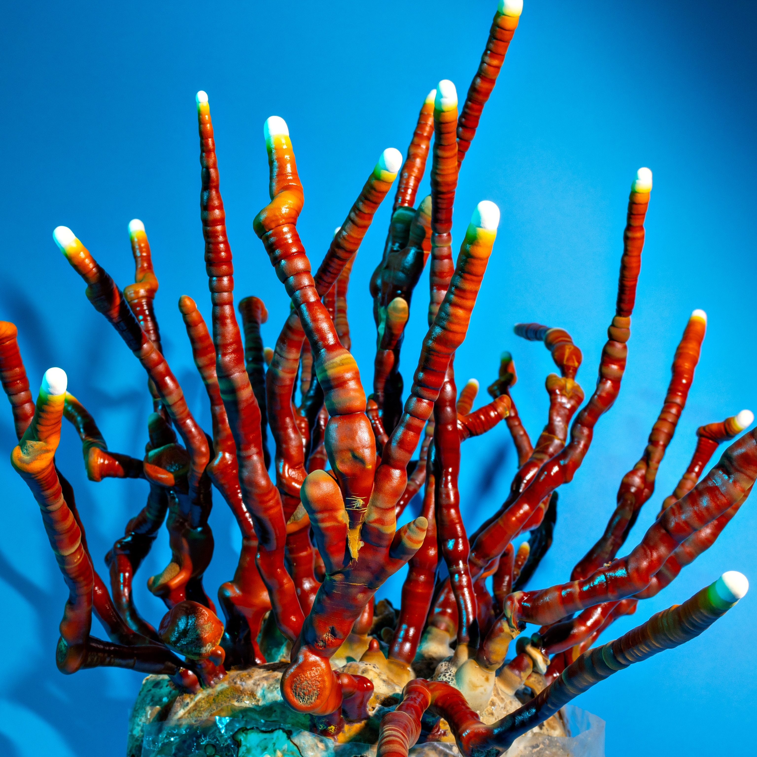 Mushroom leather? The future of fashion is closer than you think.