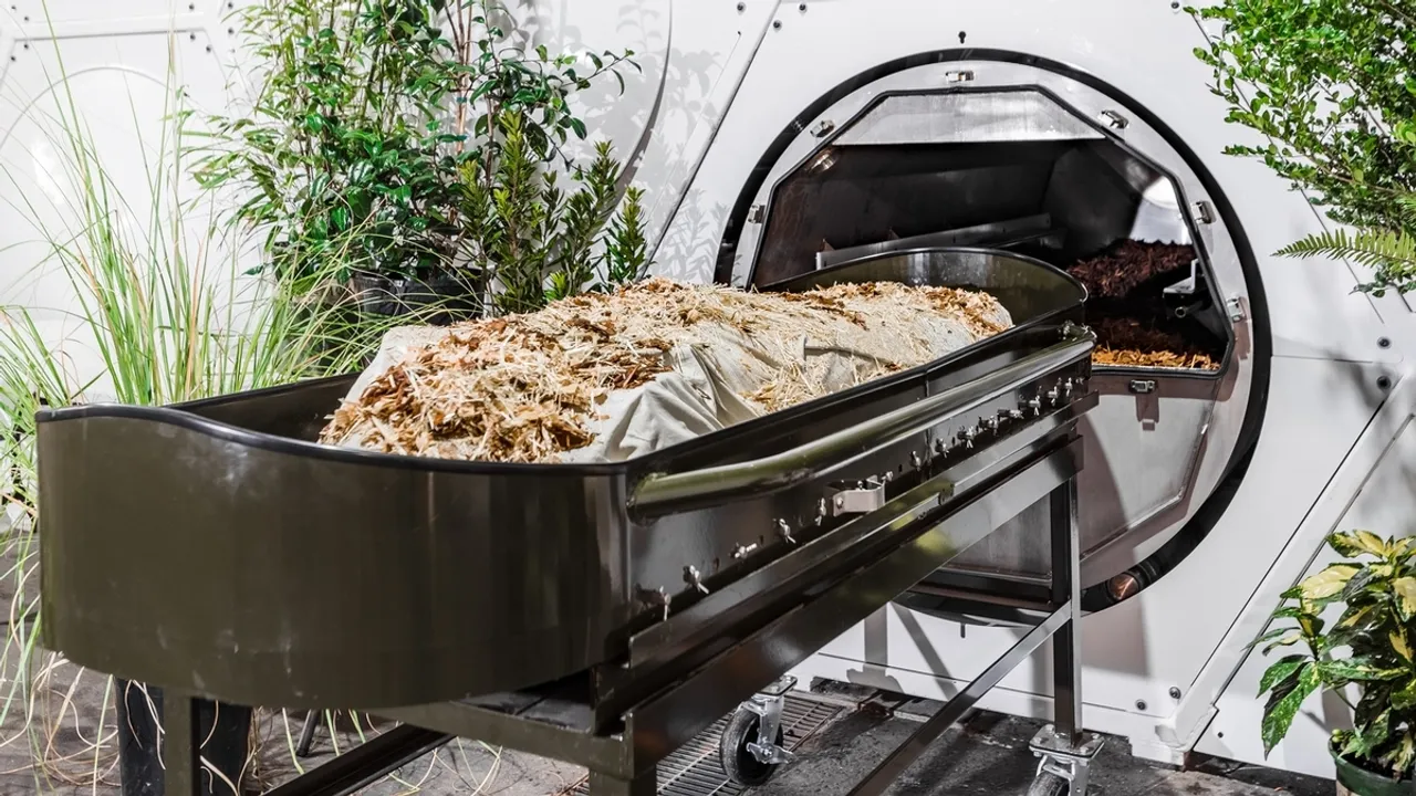 Eco-Friendly Final Rest: Sustainable Burials Could Revolutionize Funeral Industry