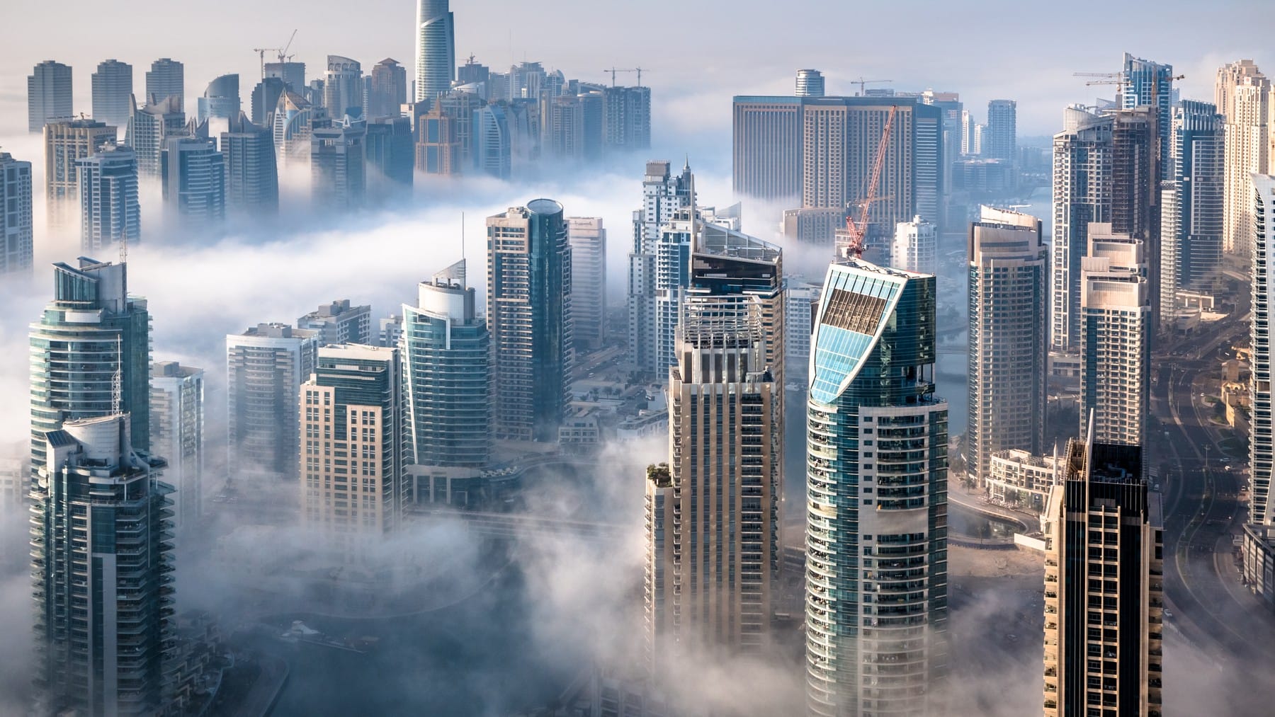 Buildings that will absorb CO2 from the air: this tycoon has made the ultimate building material