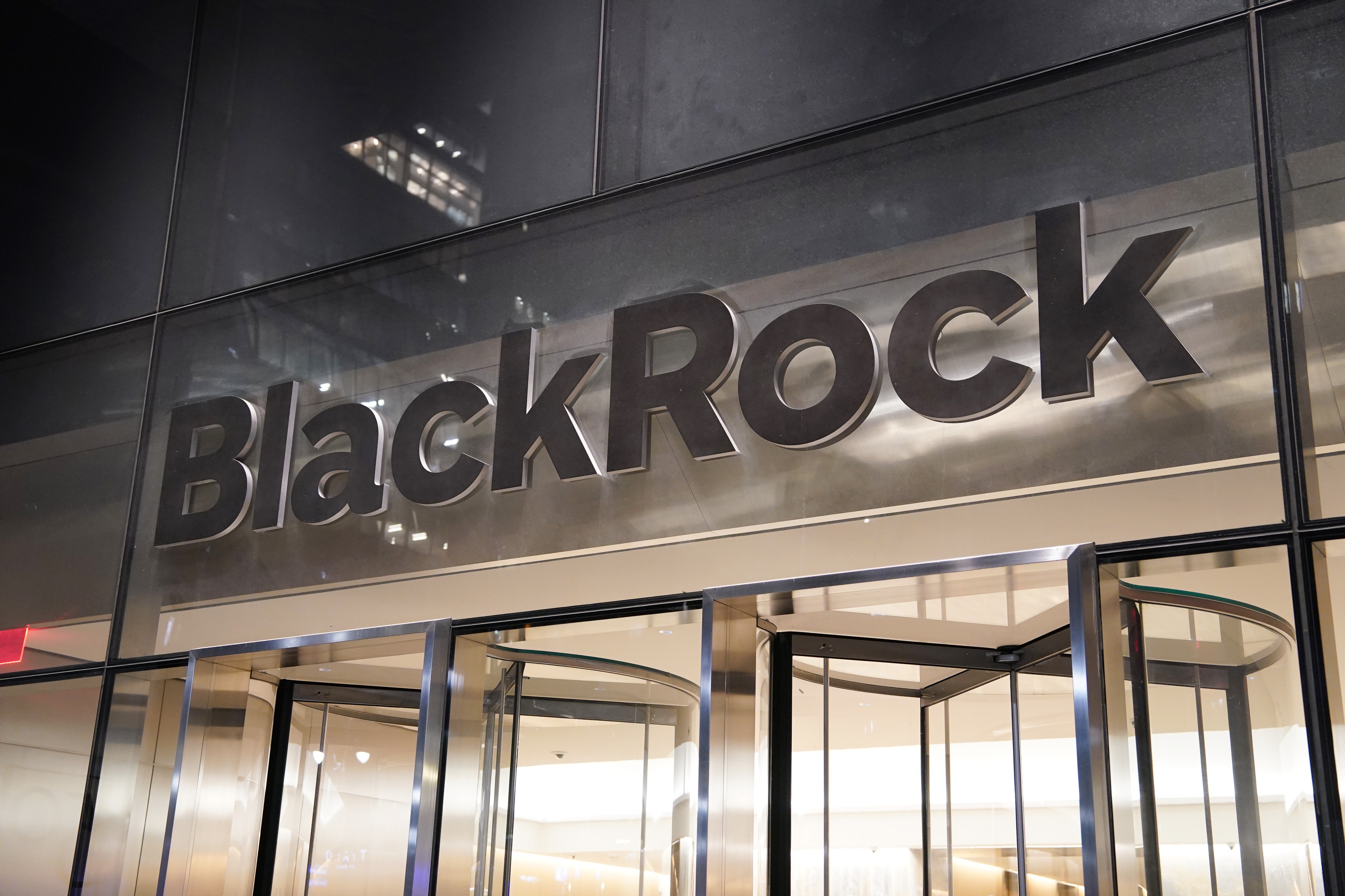 BlackRock admits CEO Larry Fink’s focus on ‘woke’ ESG activism could ‘materially adversely’ hit business
