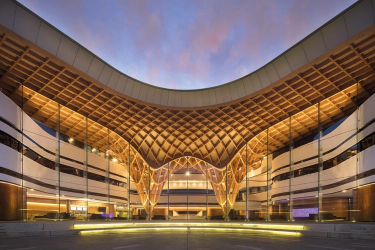 Is Mass Timber the Key Element in a Low Carbon Future?