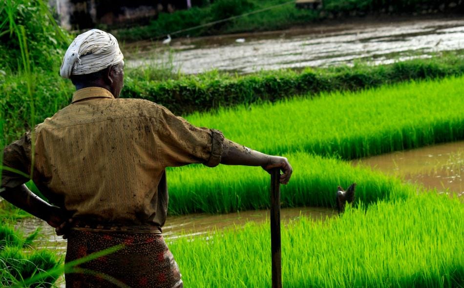 SEC climate-related financial risk rule provides some transparency, falls short of meeting investor needs