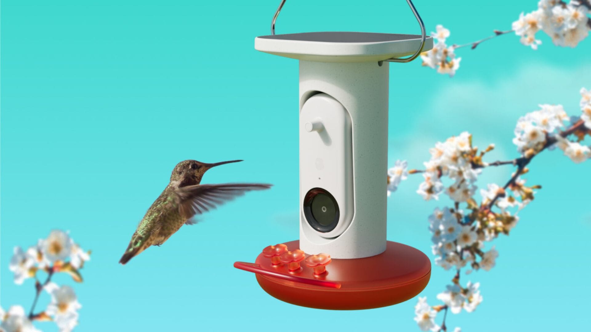 Bird Buddy’s new Smart Hummingbird Feeder lets you watch even more of your feathered friends