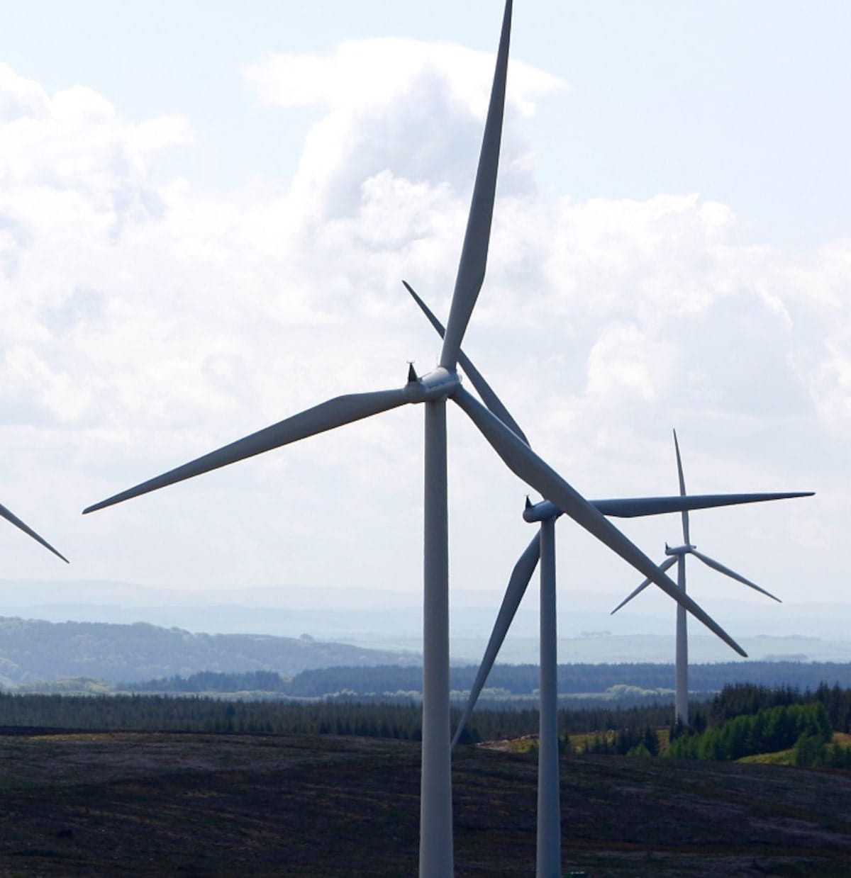 US wind rebounds to set up stronger mid-term outlook