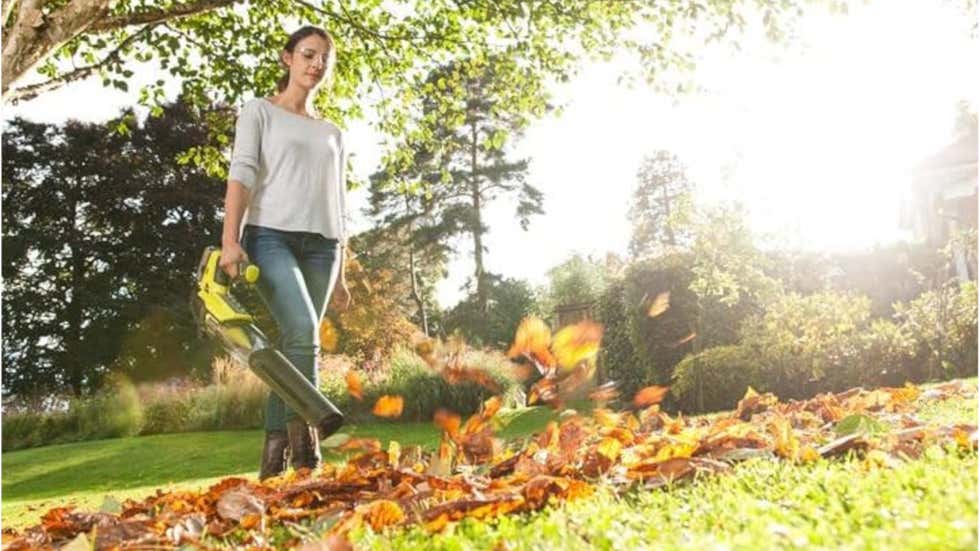 The Best Eco-Friendly Electric Yard Equipment