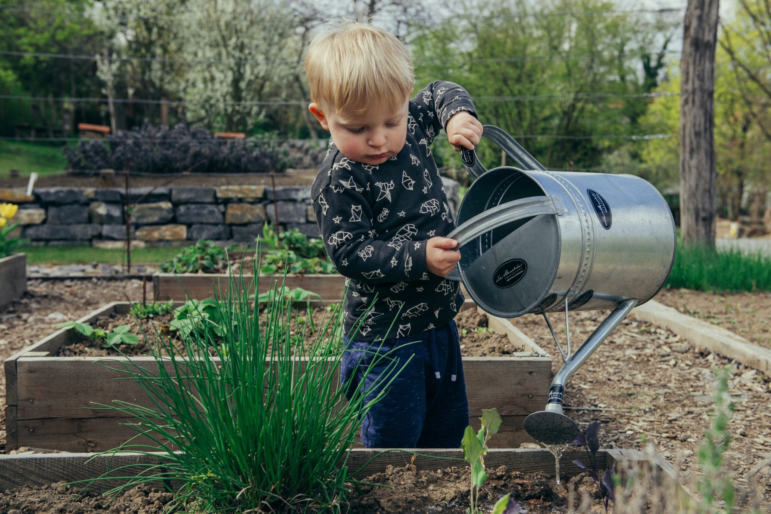 Today is Earth Day: Top ESG companies to invest in changing the world in 2024