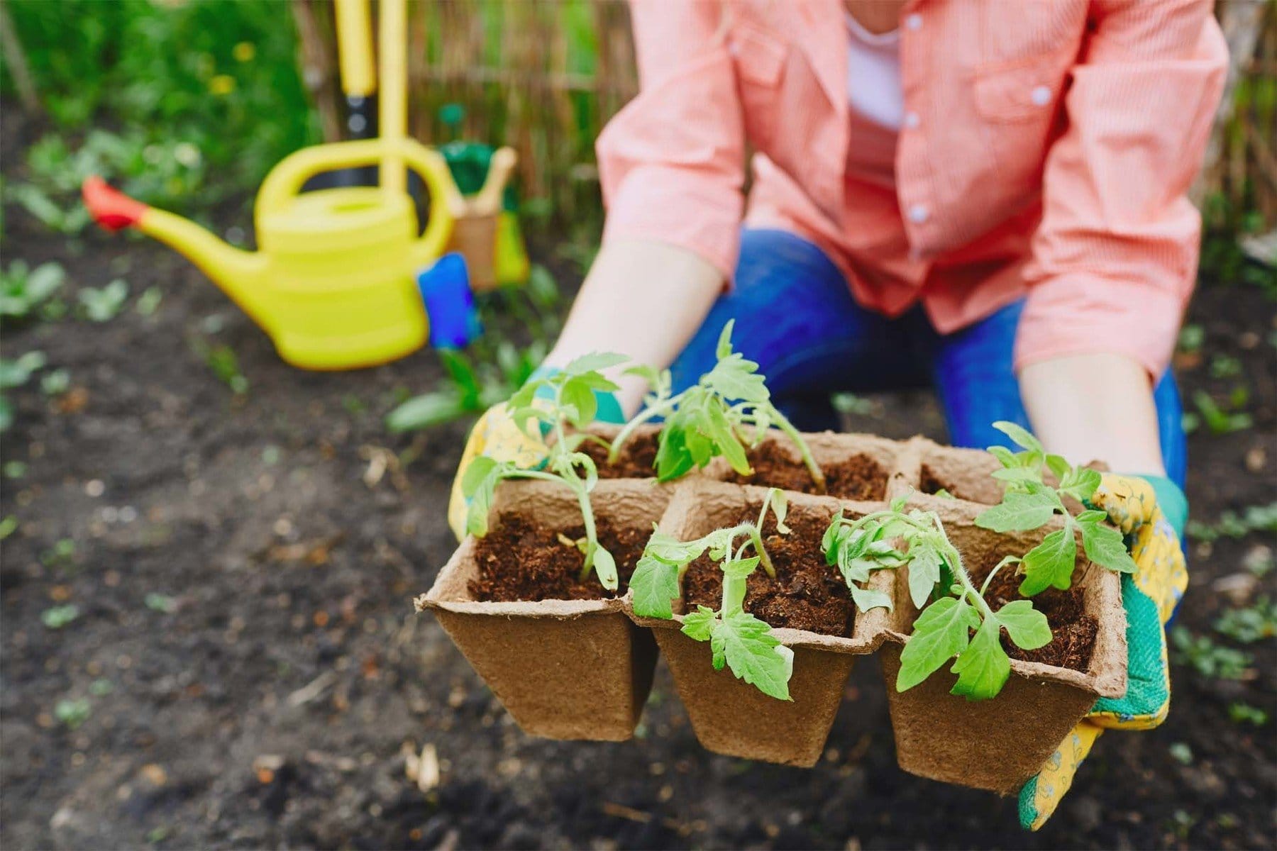 Millennials and Gen Z return to their roots with homesteading