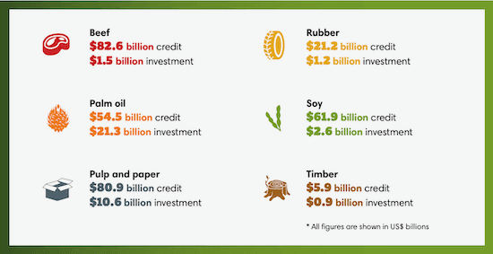 How Banks and Investors are Fueling a Biodiversity Crisis