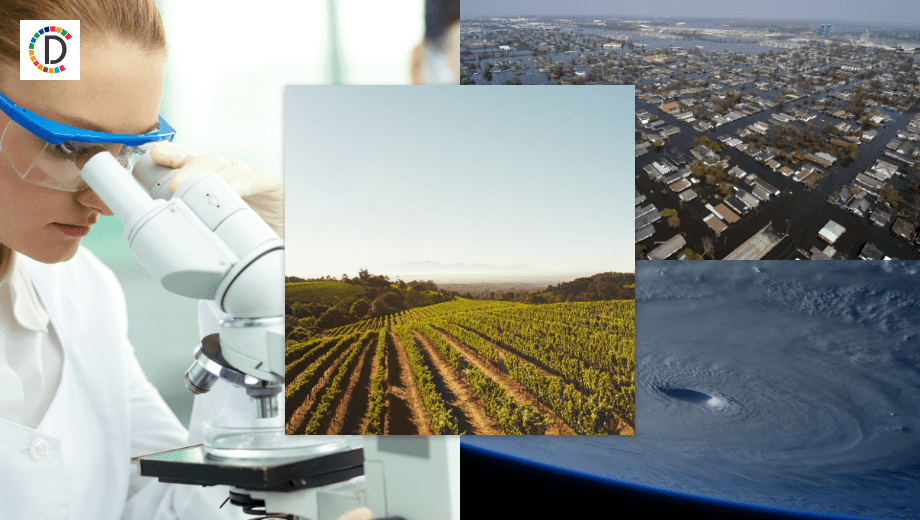 International Court Labels Oceanic Greenhouse Gases as Marine Pollution