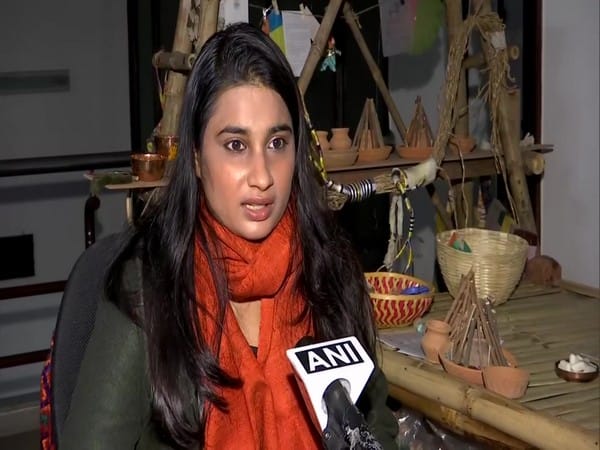 Panchkula resident suggests eco-friendly way to celebrate Lohri inside houses