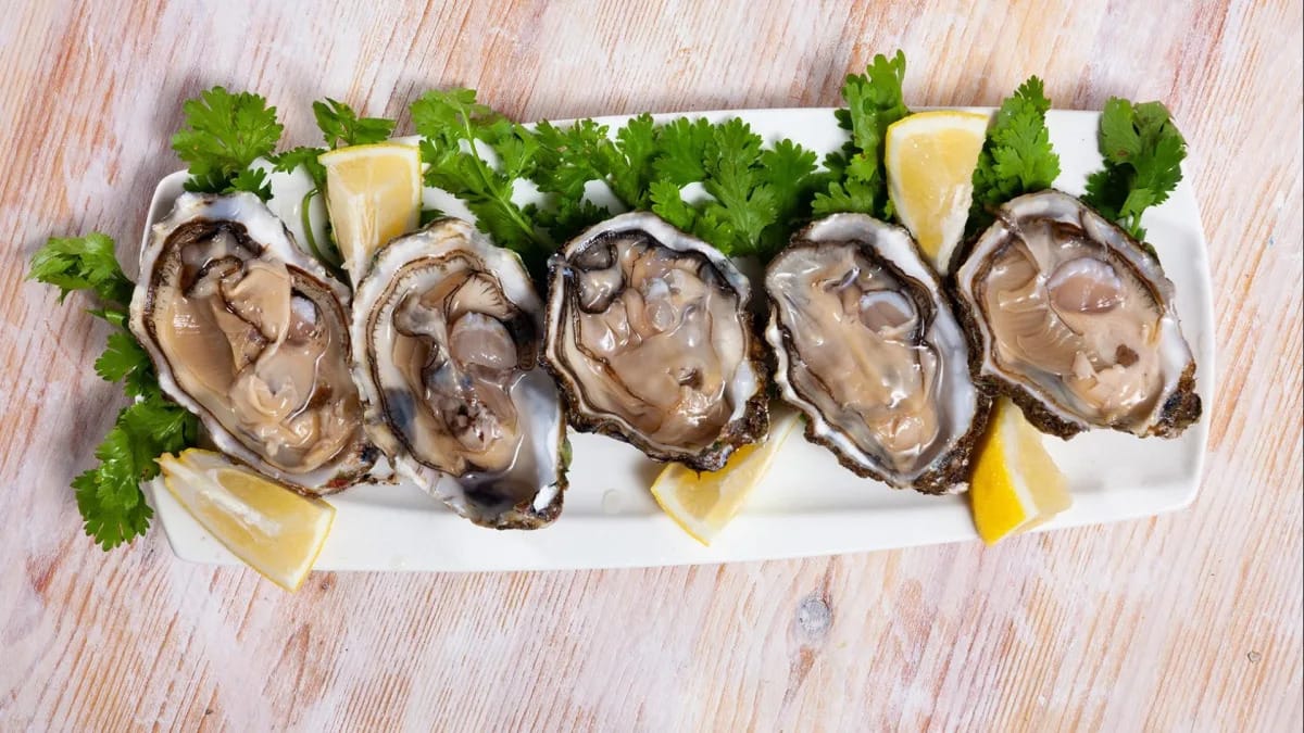 Climate change is killing summer oysters, study finds