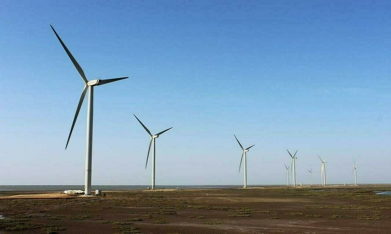 Govt urged to prioritise power offtake from wind projects