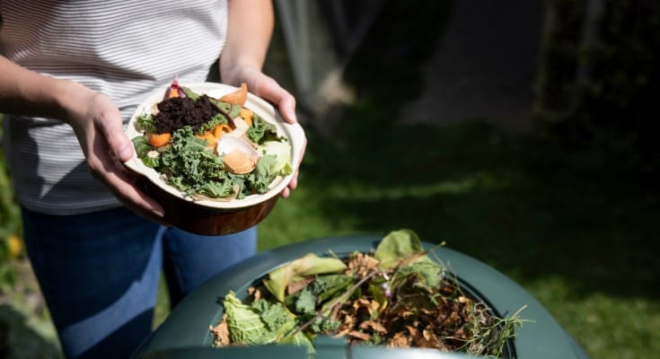 Delaware Promotes Sustainable Living with Discounted Compost Bins and Rain Barrels Sale