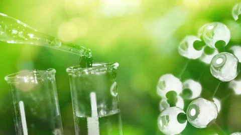 Rising Demand: Green Ammonia Market Thrives Amid Stringent Emissions Regulations