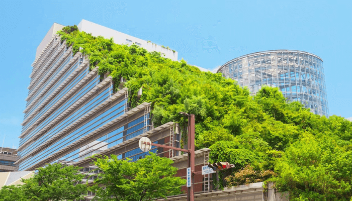 CORBON champions green buildings to combat climate risk