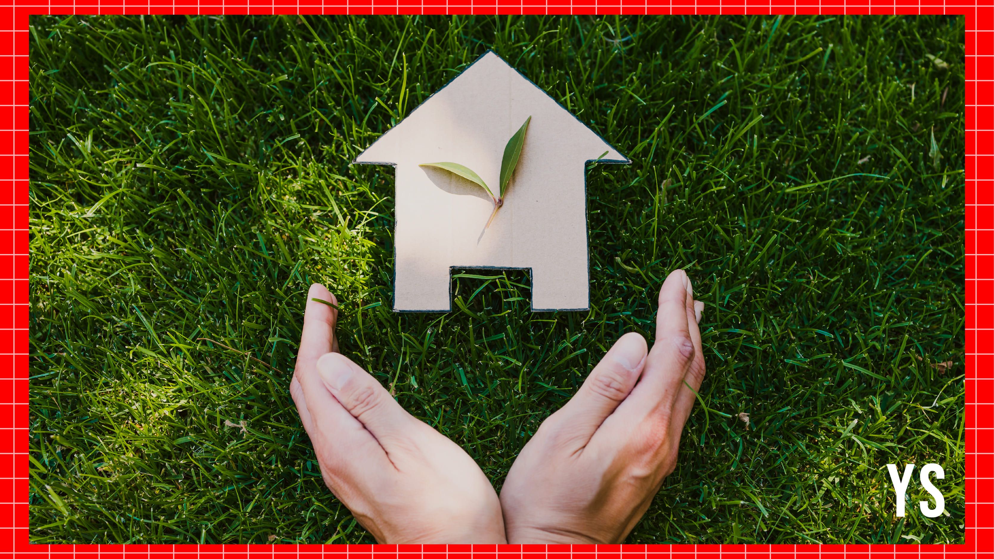 The rise of sustainable building materials—a blueprint for startup success