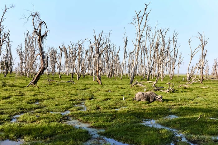 Global Warming Hits Africa Hard