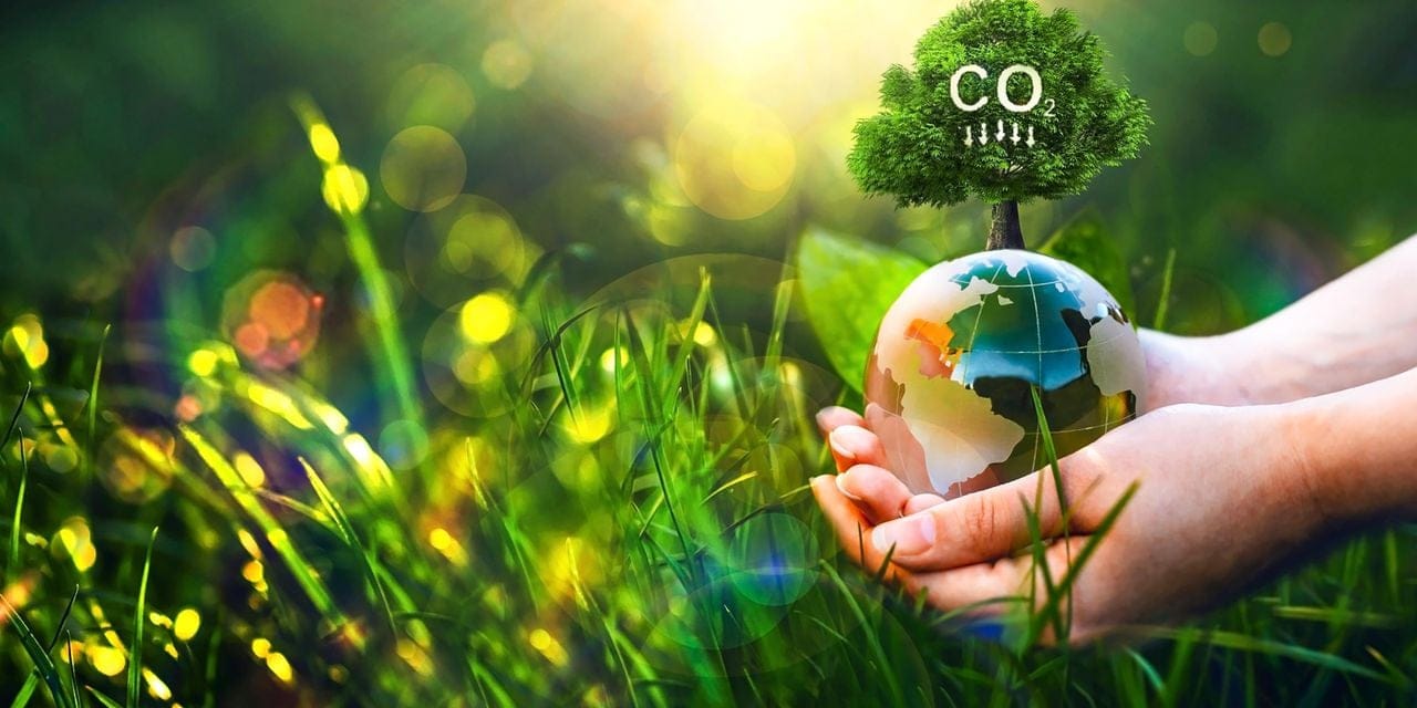 How banks can lead in green energy shift