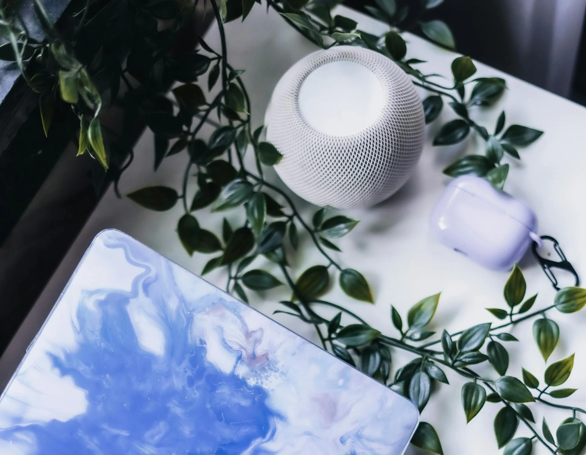 The Limits of Smart Home Assistants: Discovering What's Beyond