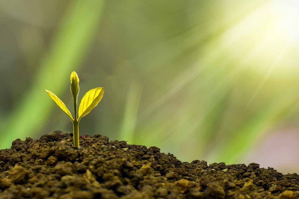 Three big questions for multi-asset investors: US equities, bond performance and ESG