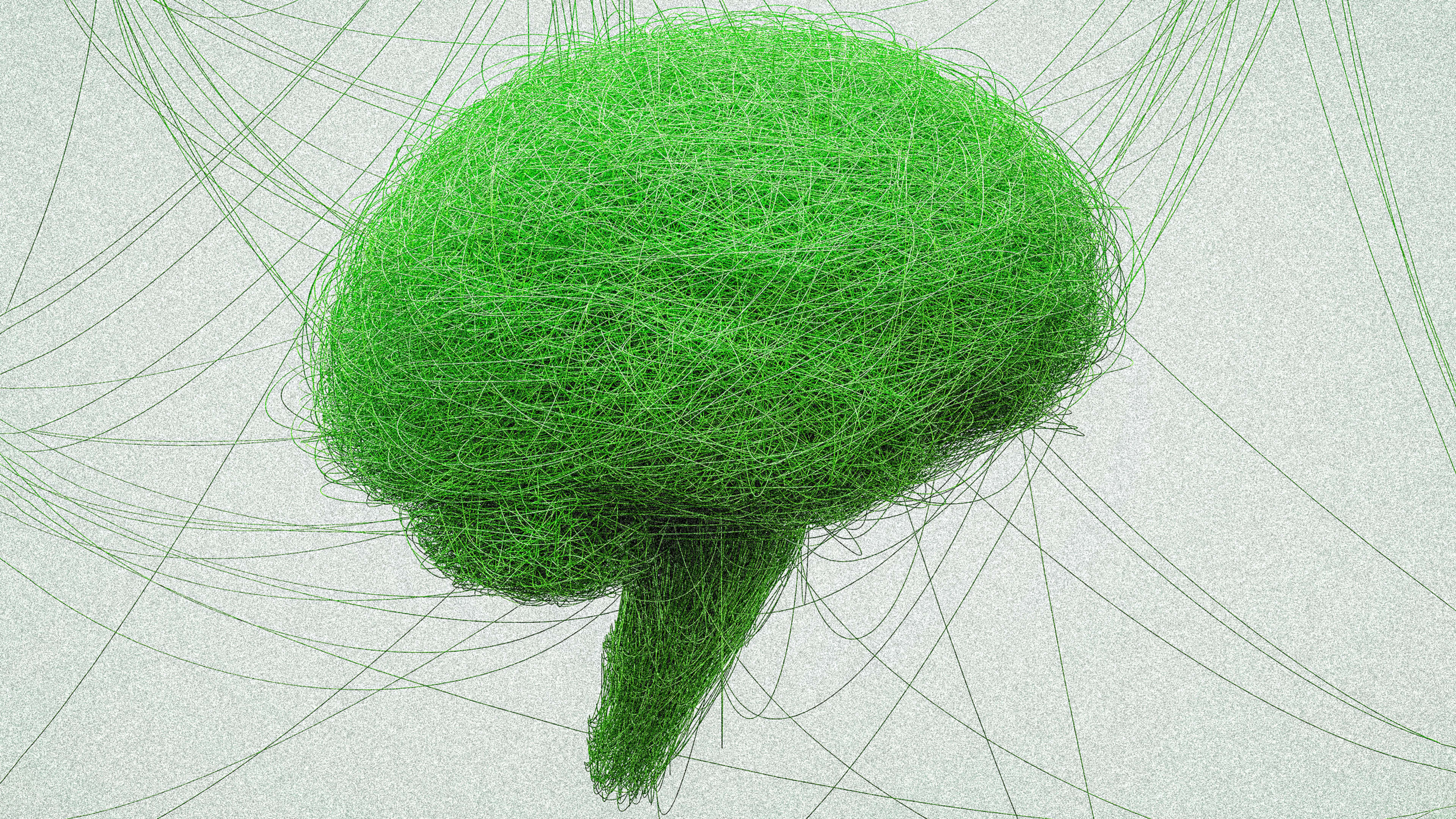 3 practical ways to prioritize sustainability and avoid greenwashing