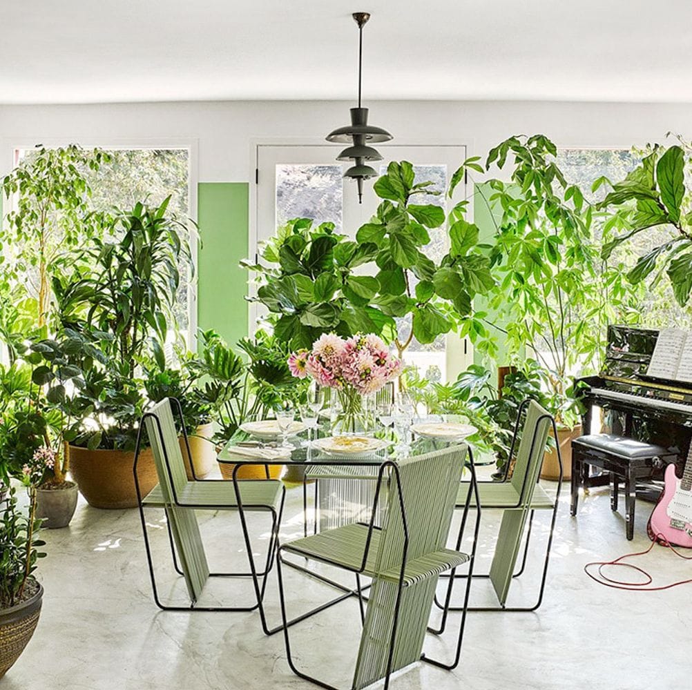 What Is Biophilic Design?