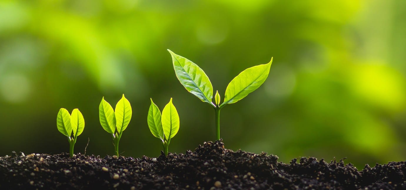 ANALYSIS The new Sustainability Disclosure Requirements: reaping the benefits of acting now