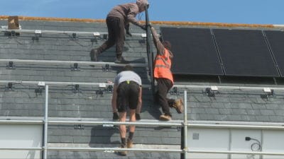 Why are there grants for electric cars but not solar panels in Jersey?