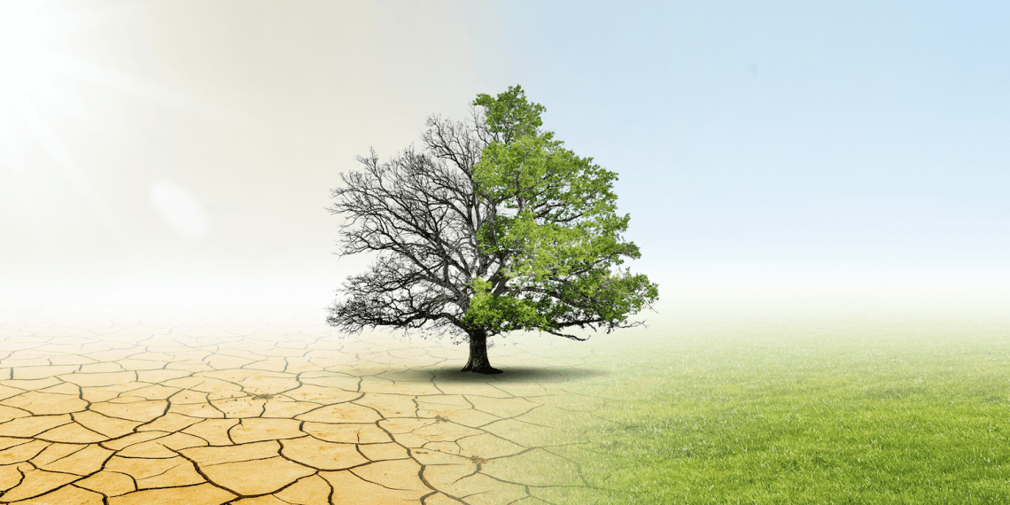 Society of Pension Professionals publishes ESG guide for trustees