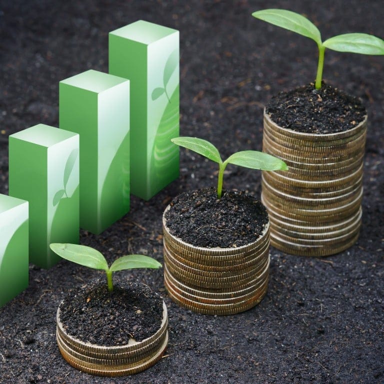 JPMorgan: Capital seekers must pitch their commitment to ESG, UN sustainability goals