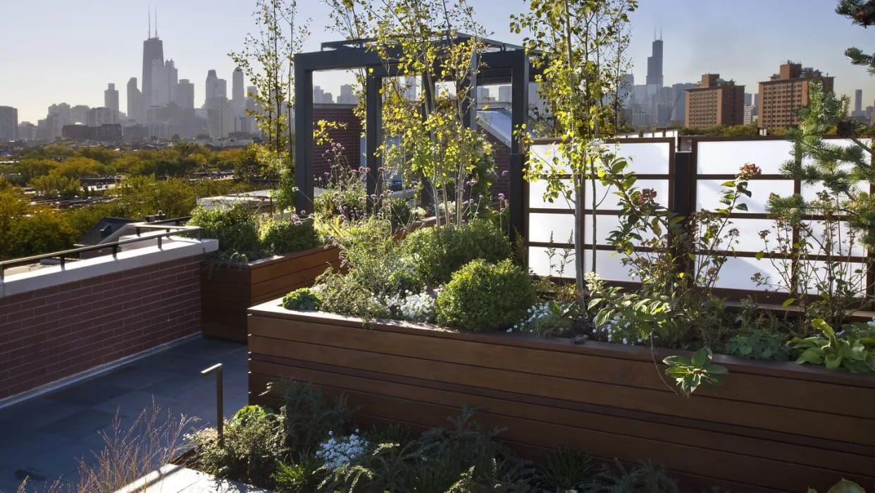 A Green Roof Could Slash Your Energy Bill in All This Heat