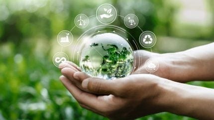 What does renewable energy M&A activity tell us about the green transition?