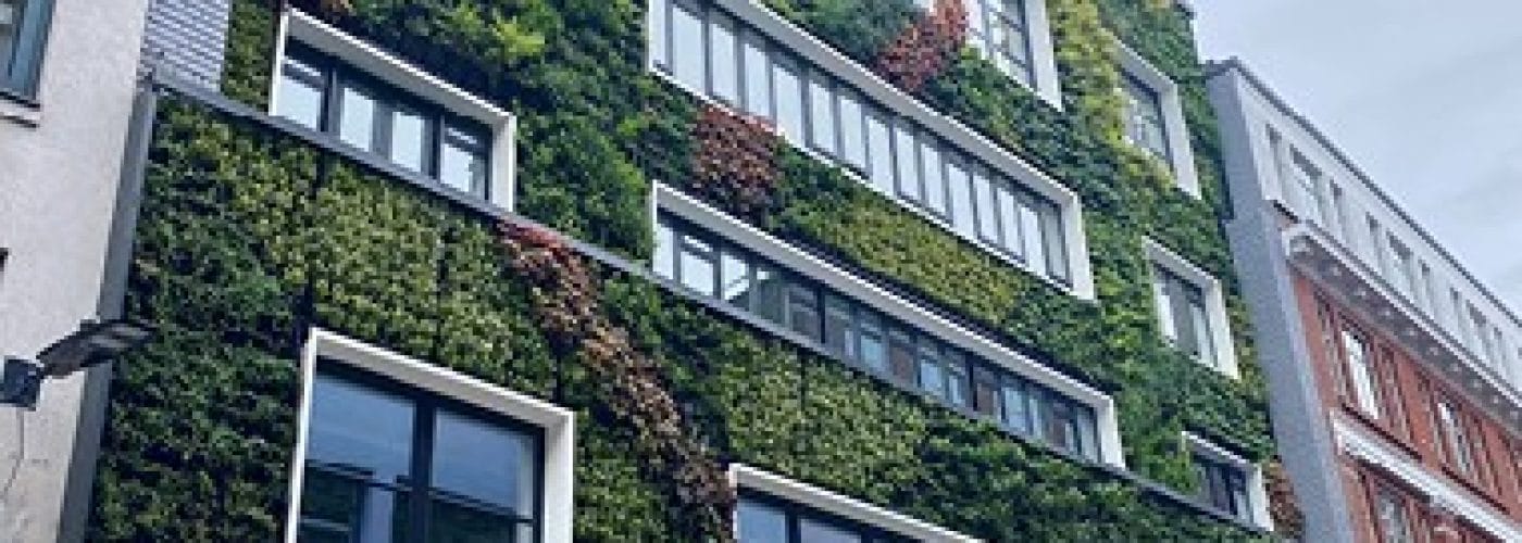Green and Living Walls as External Cladding: Managing Risk