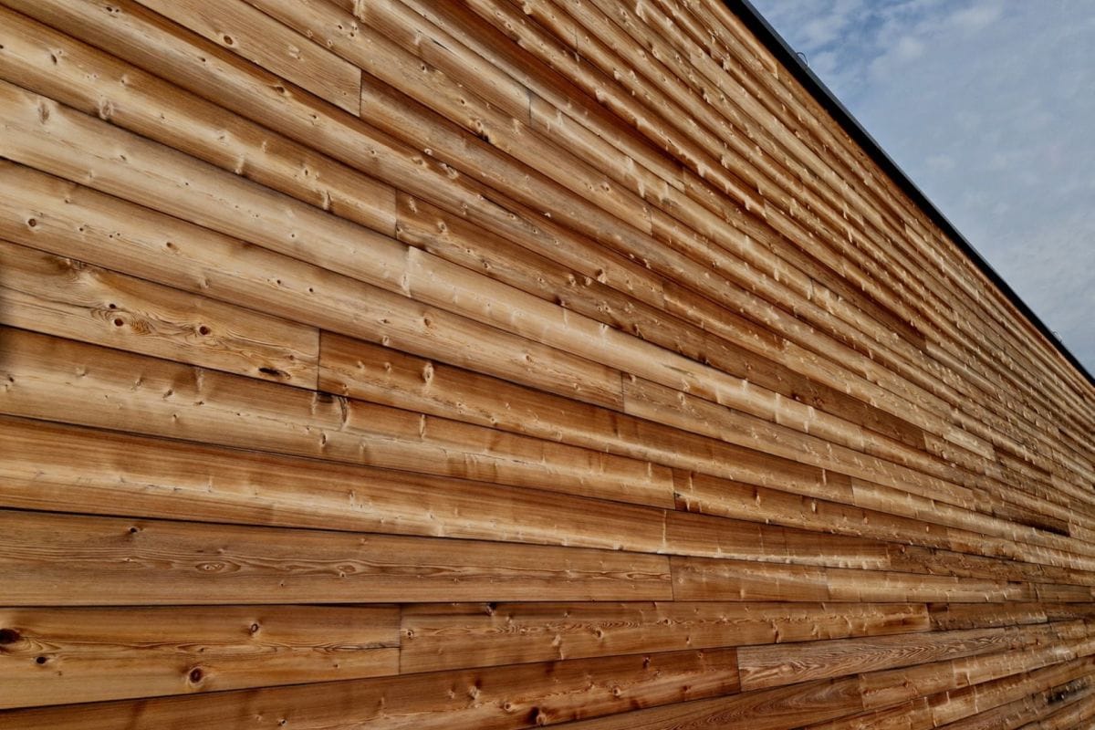 Couple transforms '80s bungalow into unique, eco-home with remarkable features: 'More people should be doing this'